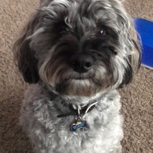 Meet your Posher, Mary